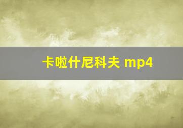 卡啦什尼科夫 mp4